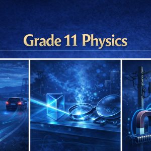 Self-Paced Physics Grade 11